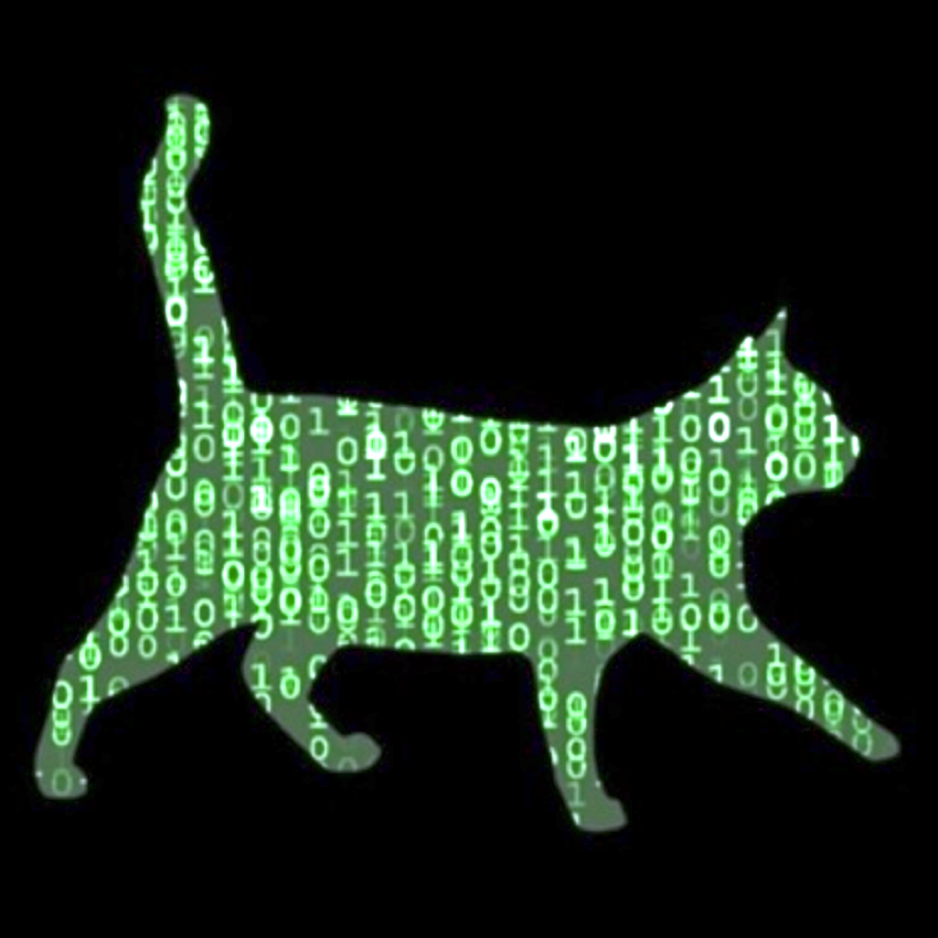 This Week in Security
