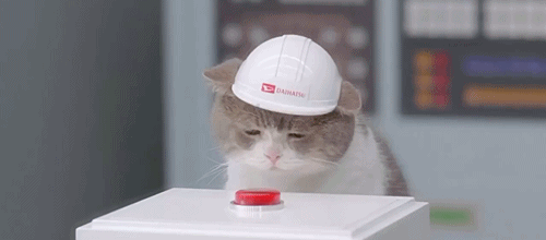 a cat with a white hard hat pushing a red flashing button on a plinth.