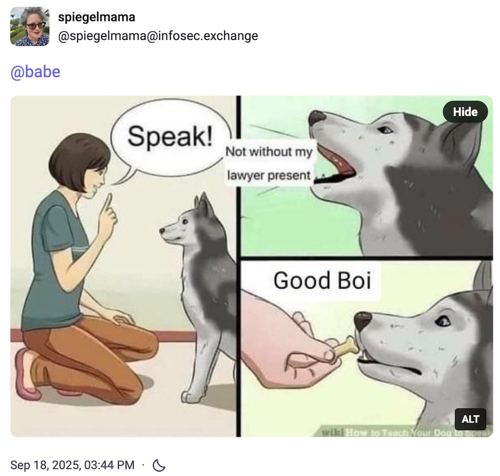 A meme of a person saying, "Speak!" to a dog, then the dog saying, "Not without my lawyer present." Then the person giving the dog a treat, saying, "Good boi."