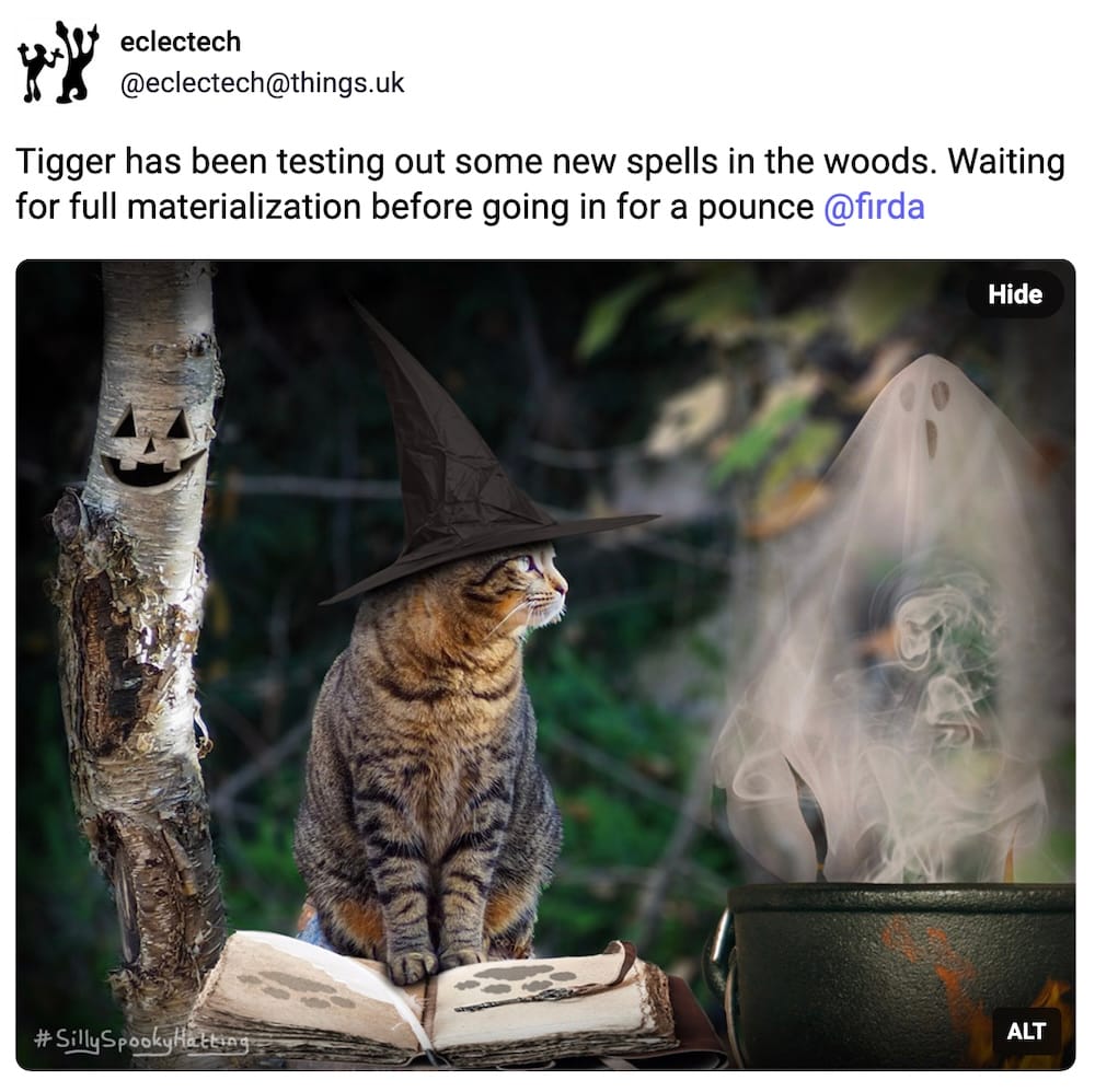 Eclectech post on Mastodon: "Tigger has been testing out some new spells in the woods. Waiting for full materialization before going in for a pounce @firda."