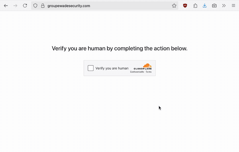 an animated GIF showing a capcha, then a Windows Update-like screen, then a prompt asking the user to paste in a command to their Command Prompt or terminal.