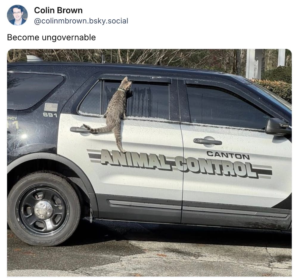 Colin Brown post on Bluesky: "Become ungovernable," followed by a photo of a vehicle, labeled "Canton Animal Control," with a kitten on the side of the vehicle trying to climb through the car's window.