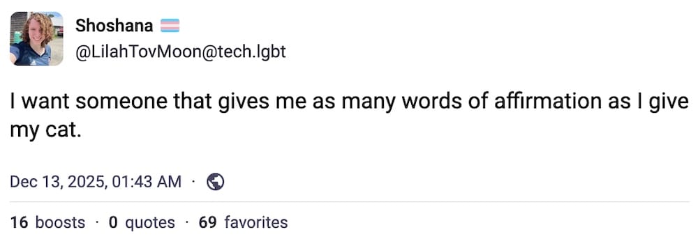Shoshana post on Mastodon: "I want someone that gives me as many words of affirmation as I give my cat."