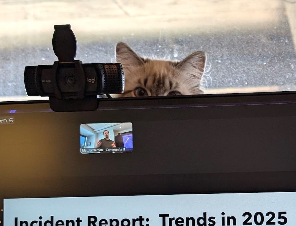 Catherine the Great is a kitty whose top-half of their head can be seen appearing from the back of a computer monitor, next to the webcam, while her human gives a presentation in the video thumbnail box on screen.