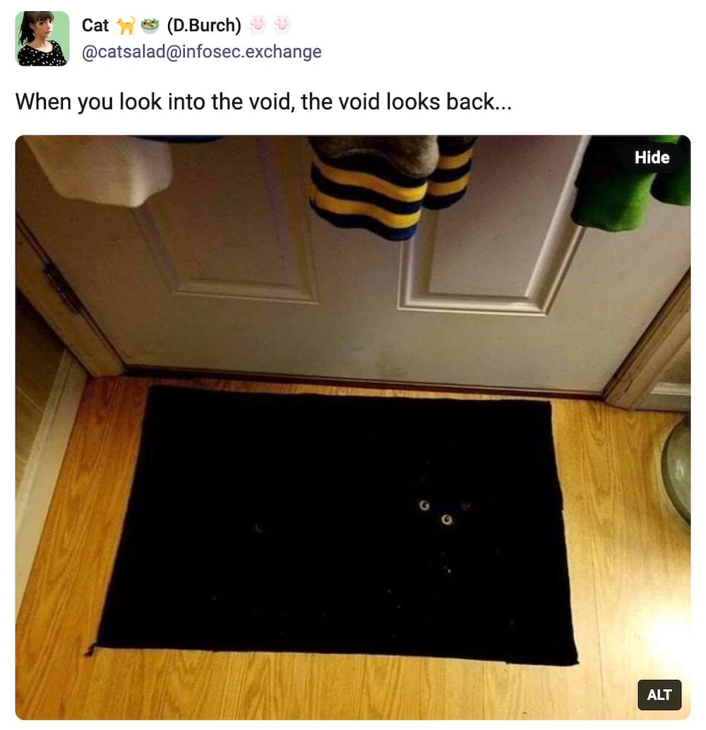 CatSalad post on Mastodon: "When you look into the void, the void looks back," followed by a photo of a black doormat with two green cat eyes from a black kitty staring back. The void kitty is completely camouflaged on the rug, except for its cute eyes.