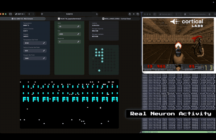 an animated GIF of a Doom game running in the top-right corner, while neurons displayed on the left show it's powering the game.