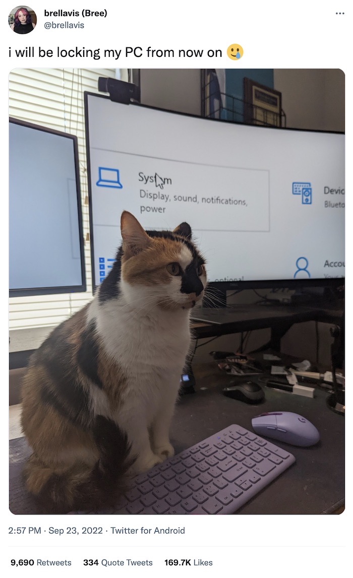 Bree tweet, with a photo of a cat on a desk in front of a display that's been significantly magnified, with the caption: "i will be locking my PC from now on 🥲"
