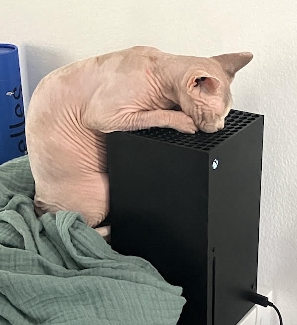 Mimi is a hairless cat snuggled up to a very warm Xbox.